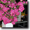 soiree_small.png
